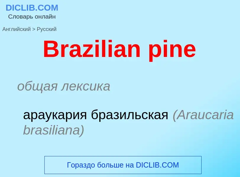 What is the Russian for Brazilian pine? Translation of &#39Brazilian pine&#39 to Russian