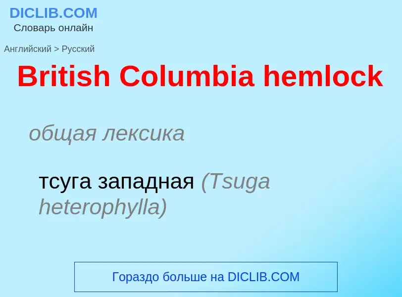 Μετάφραση του &#39British Columbia hemlock&#39 σε Ρωσικά