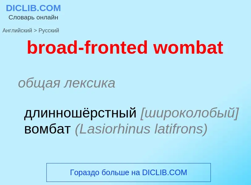 What is the Russian for broad-fronted wombat? Translation of &#39broad-fronted wombat&#39 to Russian