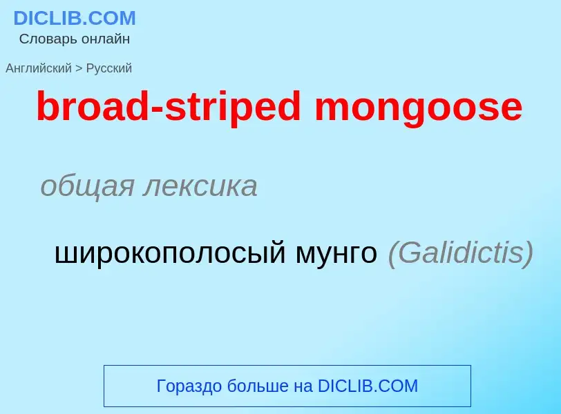 What is the Russian for broad-striped mongoose? Translation of &#39broad-striped mongoose&#39 to Rus