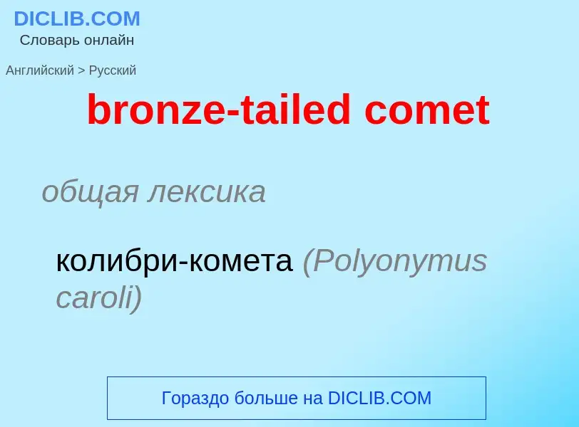 Как переводится bronze-tailed comet на Русский язык