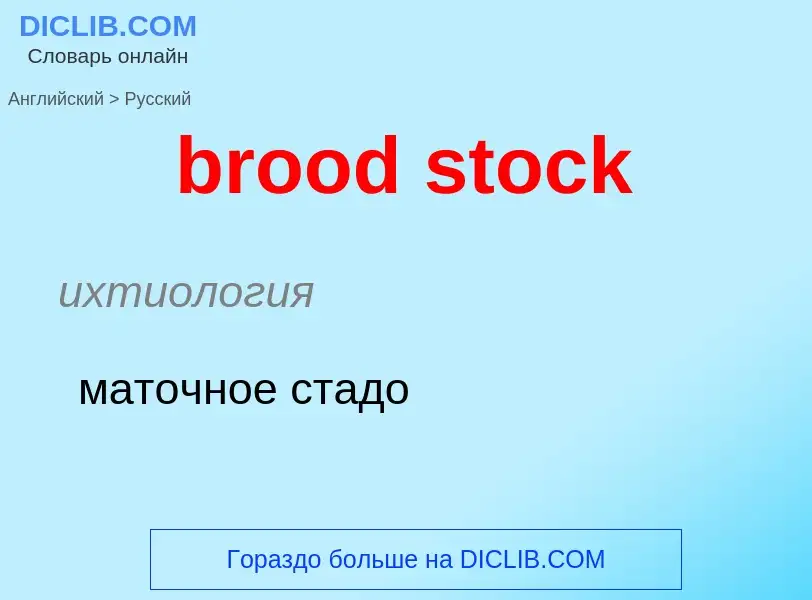 Как переводится brood stock на Русский язык