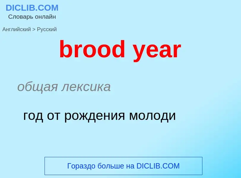 Как переводится brood year на Русский язык