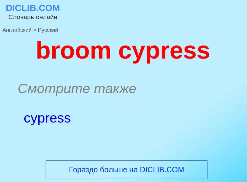 Как переводится broom cypress на Русский язык