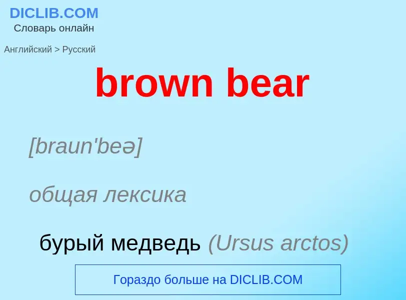 What is the Russian for brown bear? Translation of &#39brown bear&#39 to Russian