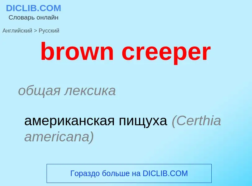 Μετάφραση του &#39brown creeper&#39 σε Ρωσικά