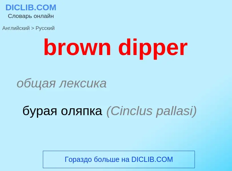 Как переводится brown dipper на Русский язык