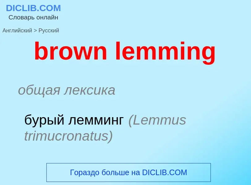 Traduzione di &#39brown lemming&#39 in Russo