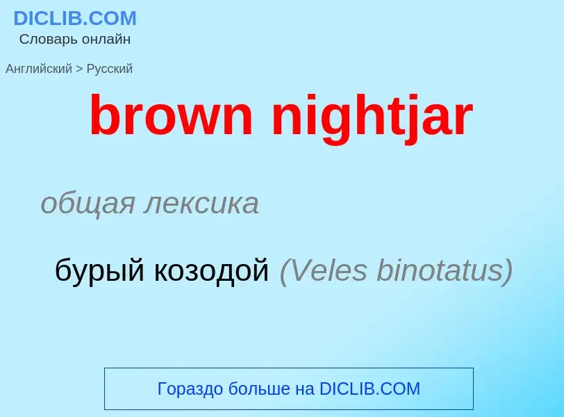 Vertaling van &#39brown nightjar&#39 naar Russisch