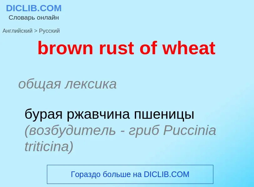 Μετάφραση του &#39brown rust of wheat&#39 σε Ρωσικά