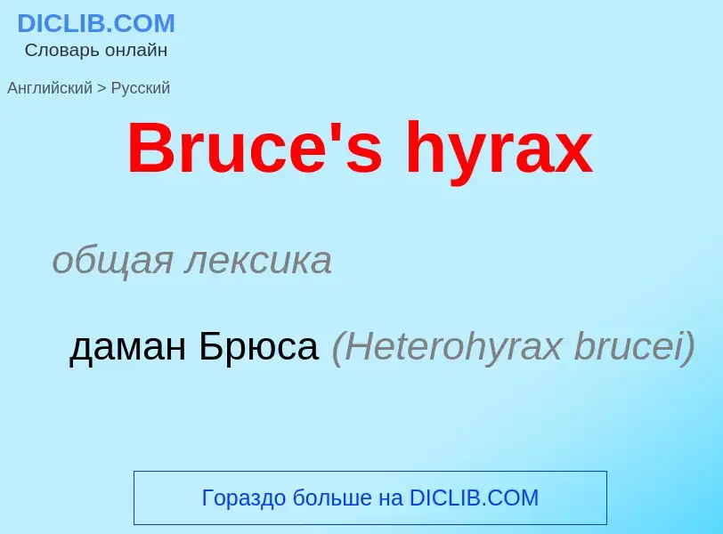 Как переводится Bruce's hyrax на Русский язык