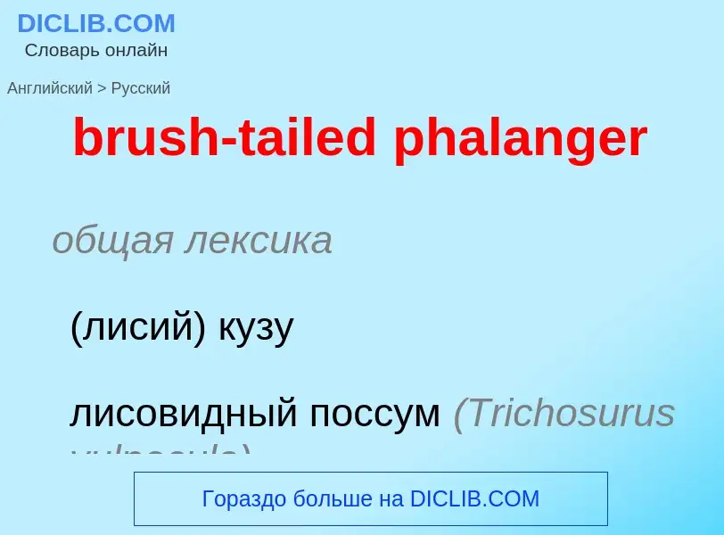 Как переводится brush-tailed phalanger на Русский язык