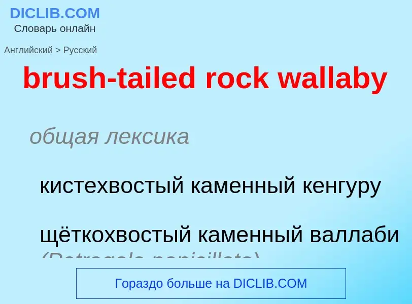 What is the Russian for brush-tailed rock wallaby? Translation of &#39brush-tailed rock wallaby&#39 