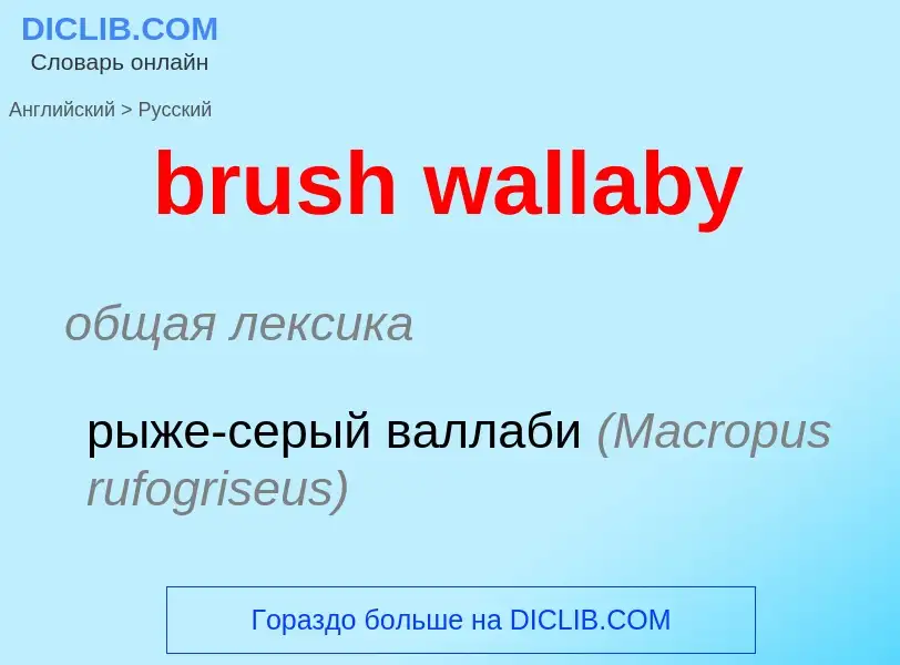 What is the Russian for brush wallaby? Translation of &#39brush wallaby&#39 to Russian