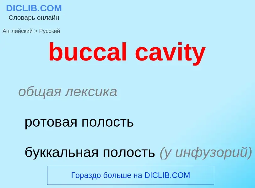 What is the Russian for buccal cavity? Translation of &#39buccal cavity&#39 to Russian