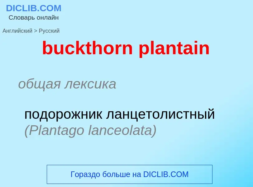 ¿Cómo se dice buckthorn plantain en Ruso? Traducción de &#39buckthorn plantain&#39 al Ruso