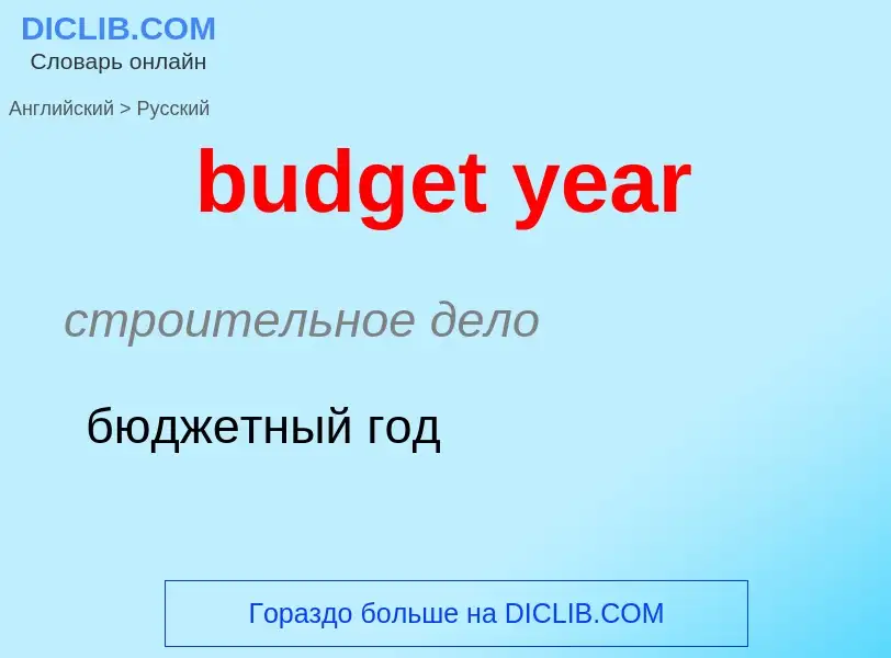 Как переводится budget year на Русский язык