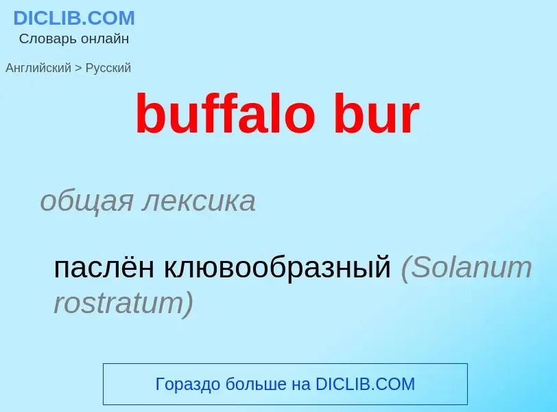 Как переводится buffalo bur на Русский язык