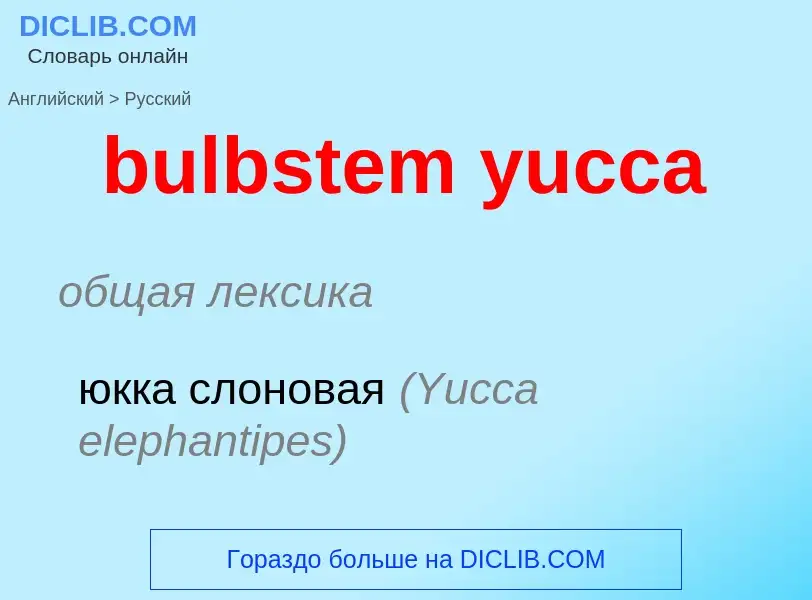 Como se diz bulbstem yucca em Russo? Tradução de &#39bulbstem yucca&#39 em Russo