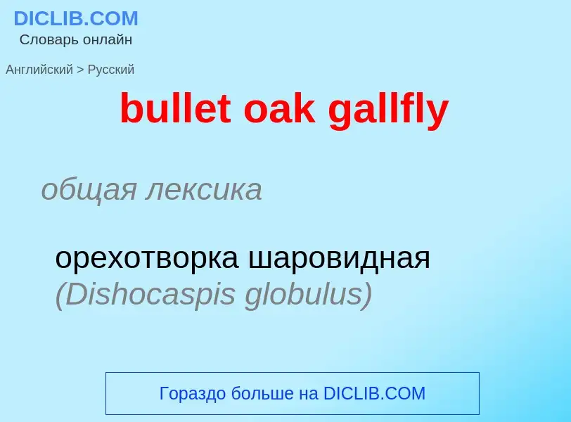 What is the Russian for bullet oak gallfly? Translation of &#39bullet oak gallfly&#39 to Russian