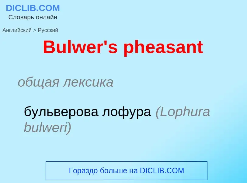 ¿Cómo se dice Bulwer's pheasant en Ruso? Traducción de &#39Bulwer's pheasant&#39 al Ruso