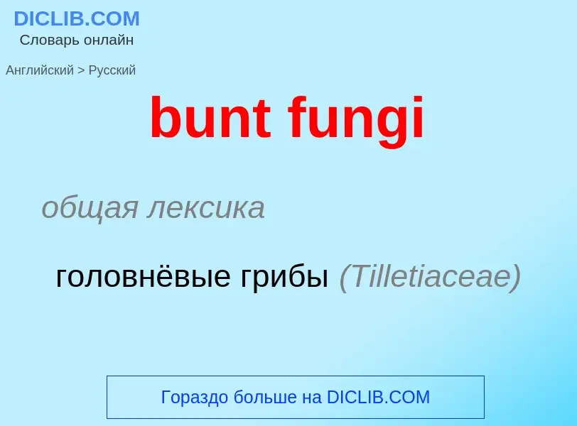 Traduction de &#39bunt fungi&#39 en Russe