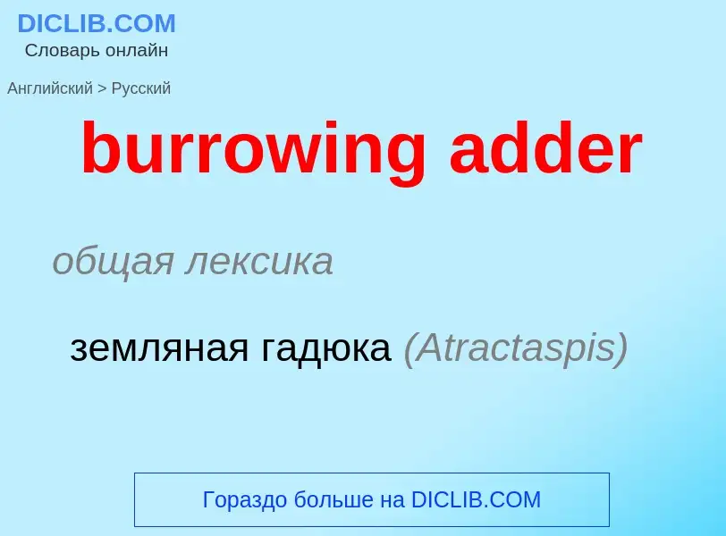 Как переводится burrowing adder на Русский язык