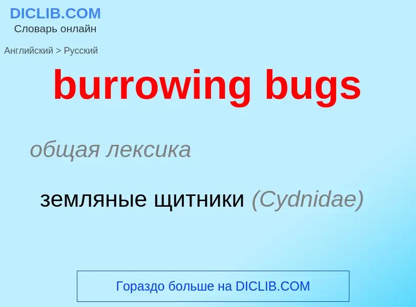 Как переводится burrowing bugs на Русский язык