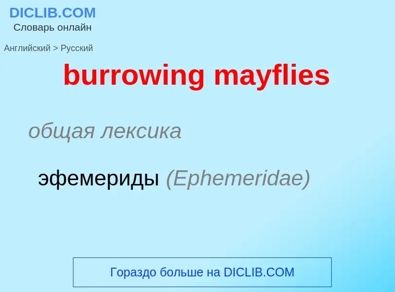 What is the الروسية for burrowing mayflies? Translation of &#39burrowing mayflies&#39 to الروسية