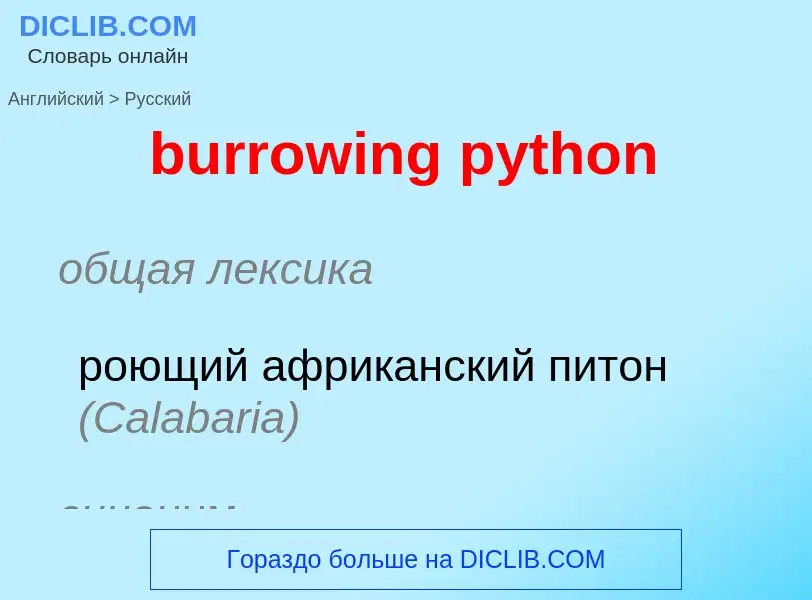 Μετάφραση του &#39burrowing python&#39 σε Ρωσικά