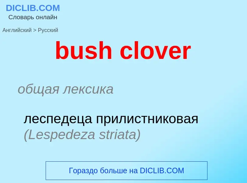 Como se diz bush clover em Russo? Tradução de &#39bush clover&#39 em Russo