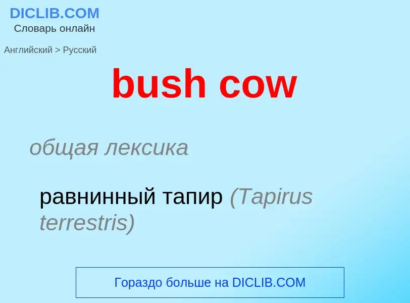 Как переводится bush cow на Русский язык