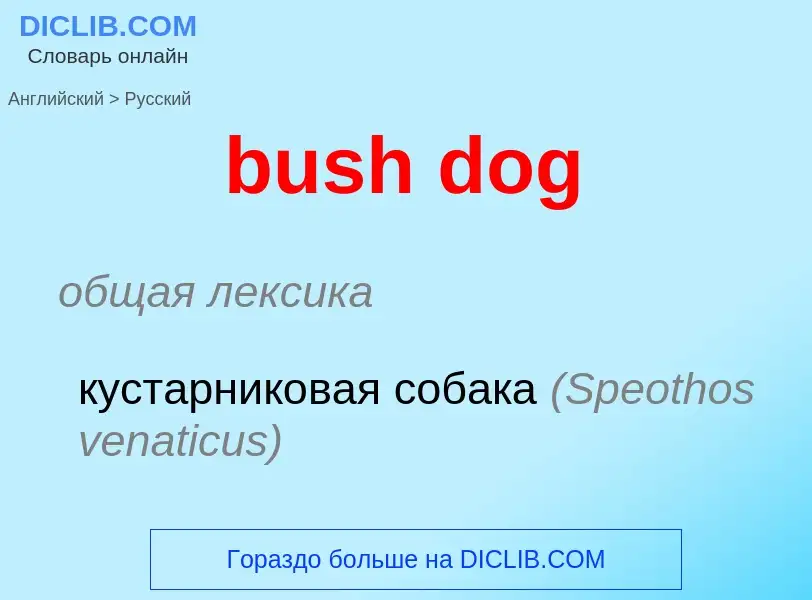 What is the Russian for bush dog? Translation of &#39bush dog&#39 to Russian