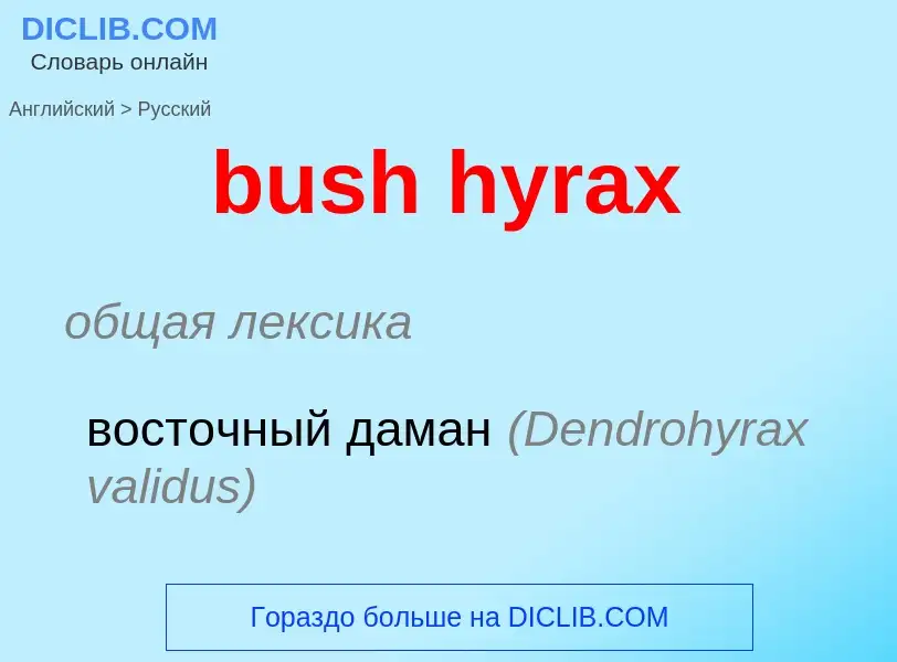 Как переводится bush hyrax на Русский язык