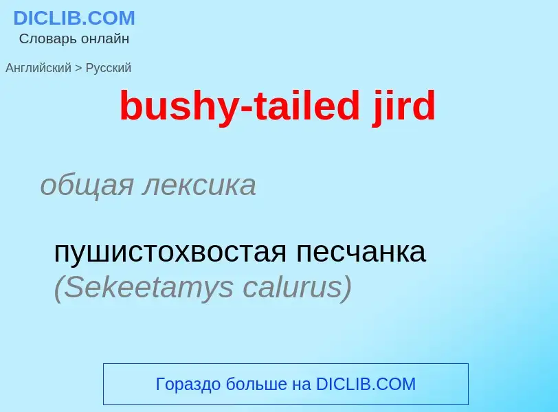 ¿Cómo se dice bushy-tailed jird en Ruso? Traducción de &#39bushy-tailed jird&#39 al Ruso