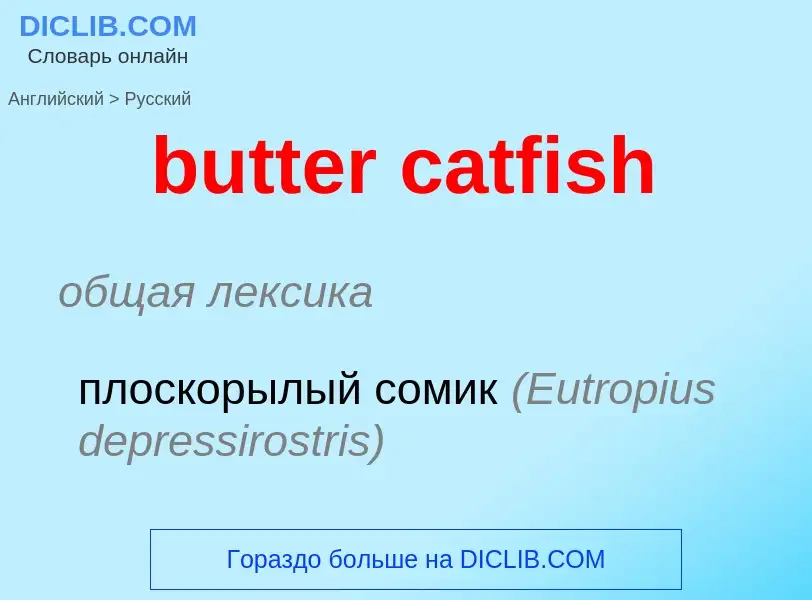 Μετάφραση του &#39butter catfish&#39 σε Ρωσικά