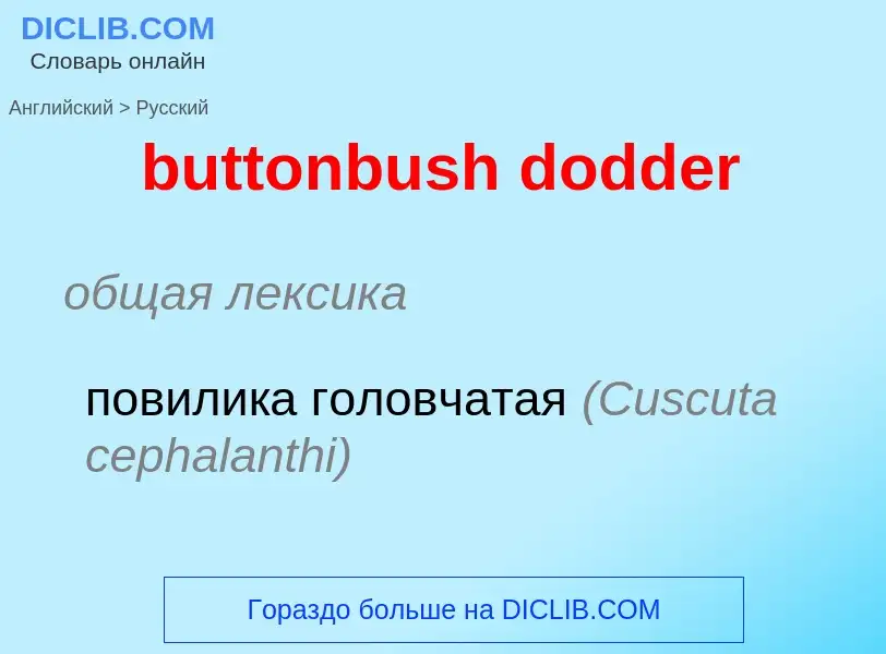 What is the Russian for buttonbush dodder? Translation of &#39buttonbush dodder&#39 to Russian