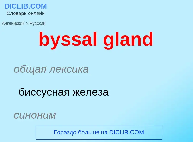 Μετάφραση του &#39byssal gland&#39 σε Ρωσικά