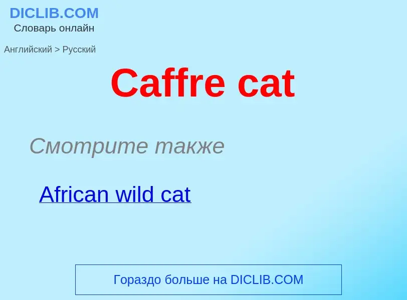 What is the الروسية for Caffre cat? Translation of &#39Caffre cat&#39 to الروسية