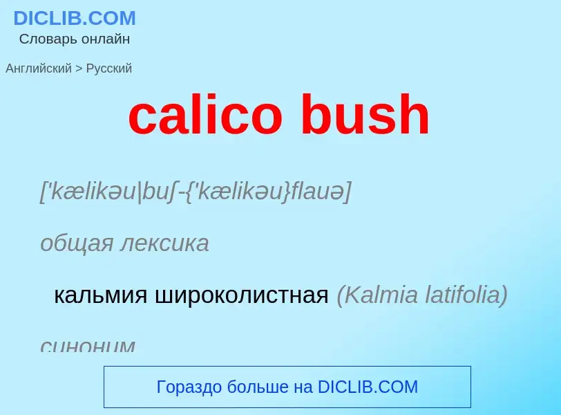 Как переводится calico bush на Русский язык