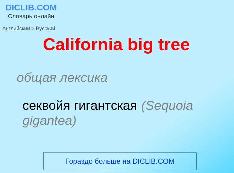 What is the الروسية for California big tree? Translation of &#39California big tree&#39 to الروسية