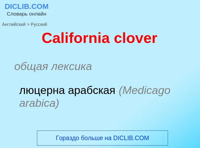 What is the الروسية for California clover? Translation of &#39California clover&#39 to الروسية