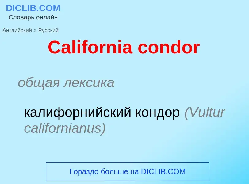 What is the الروسية for California condor? Translation of &#39California condor&#39 to الروسية