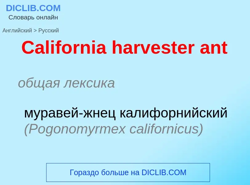 What is the الروسية for California harvester ant? Translation of &#39California harvester ant&#39 to