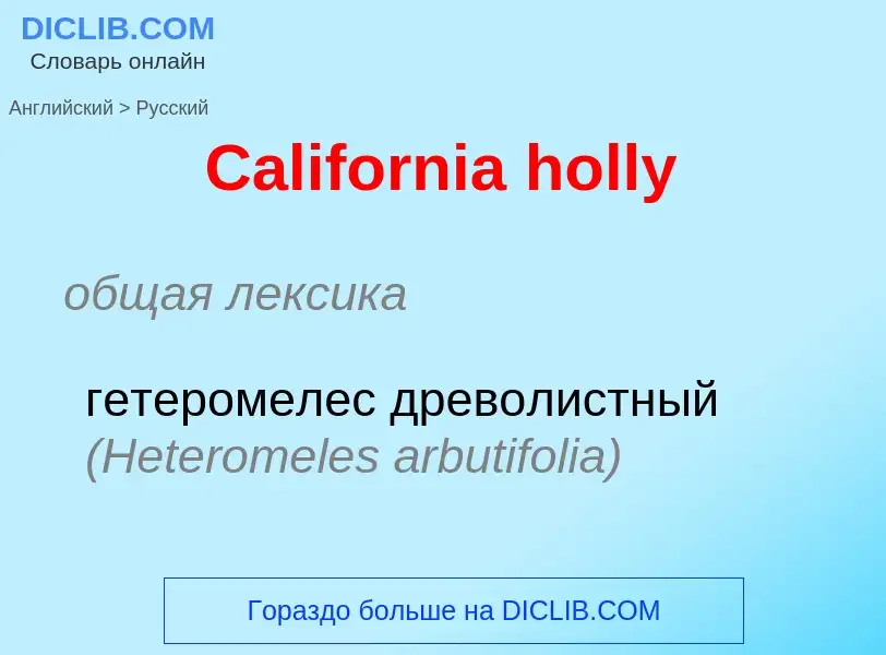 What is the الروسية for California holly? Translation of &#39California holly&#39 to الروسية