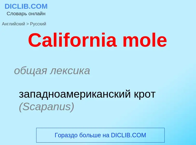 What is the الروسية for California mole? Translation of &#39California mole&#39 to الروسية