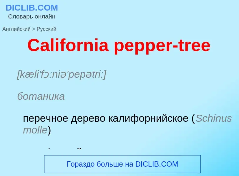 Como se diz California pepper-tree em Russo? Tradução de &#39California pepper-tree&#39 em Russo