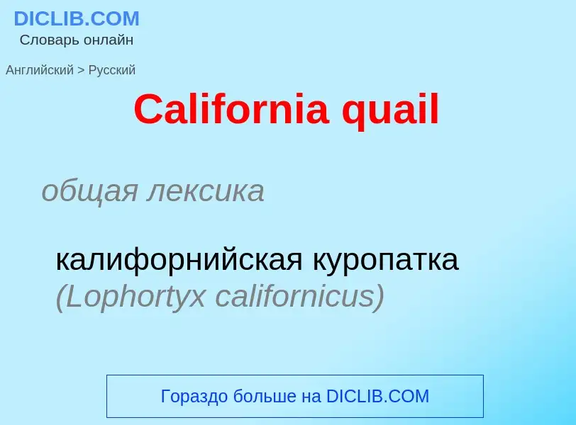 Μετάφραση του &#39California quail&#39 σε Ρωσικά