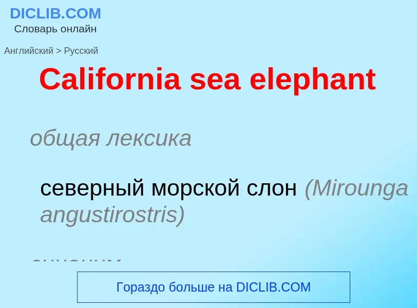 Como se diz California sea elephant em Russo? Tradução de &#39California sea elephant&#39 em Russo