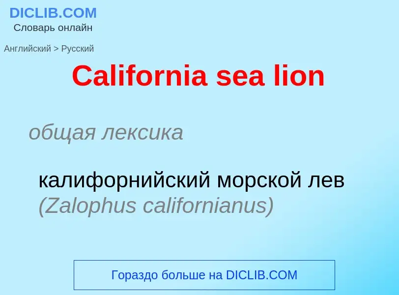 What is the الروسية for California sea lion? Translation of &#39California sea lion&#39 to الروسية